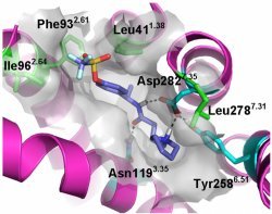 Composto anti-inflamatório