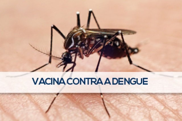 Anvisa aprova vacina contra a dengue