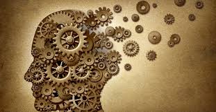 Sistema nervoso é o “guardião da saúde intestinal” – Diz estudo