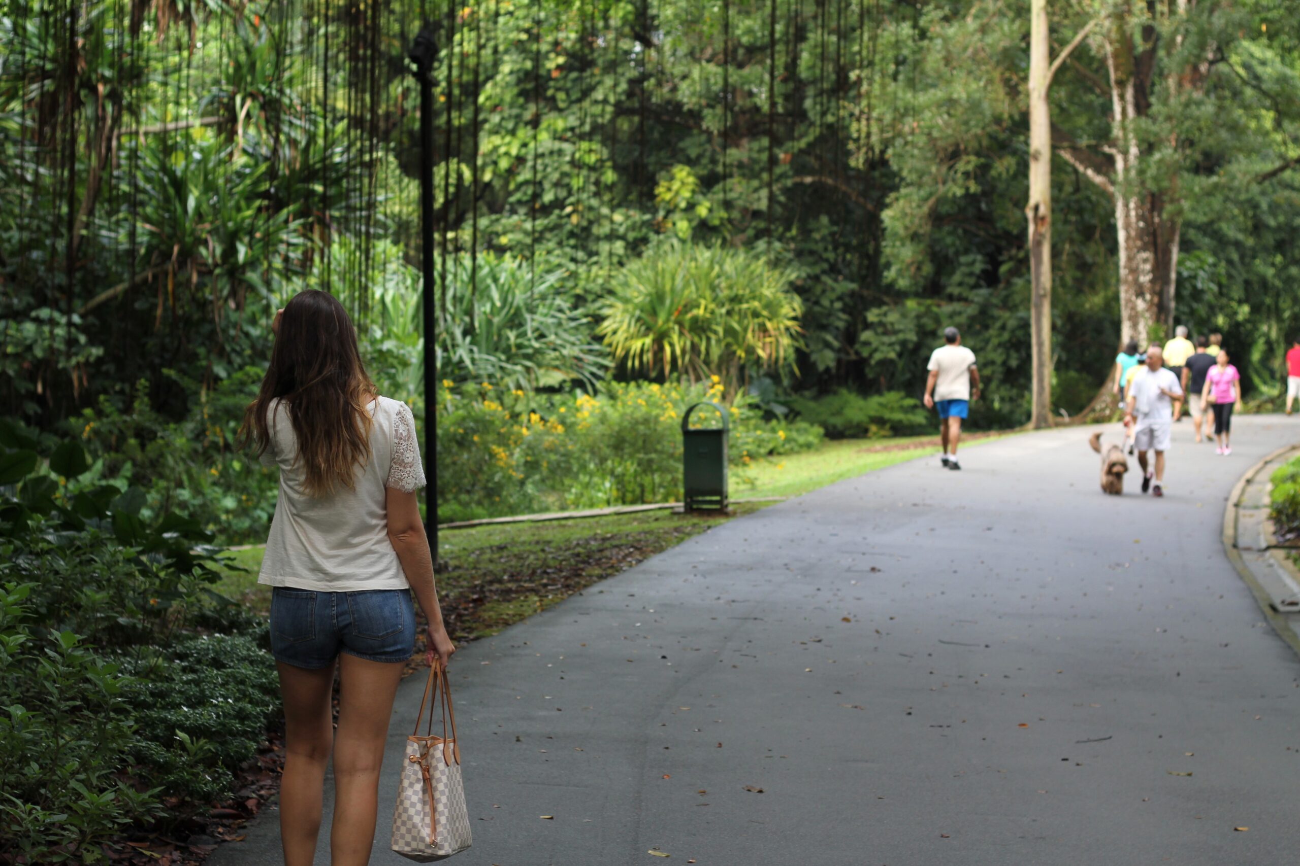 2012 um ano difícil