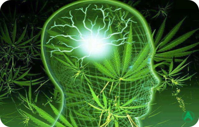 Canabidiol mostra eficácia no controle da dor em pacientes com fibromialgia