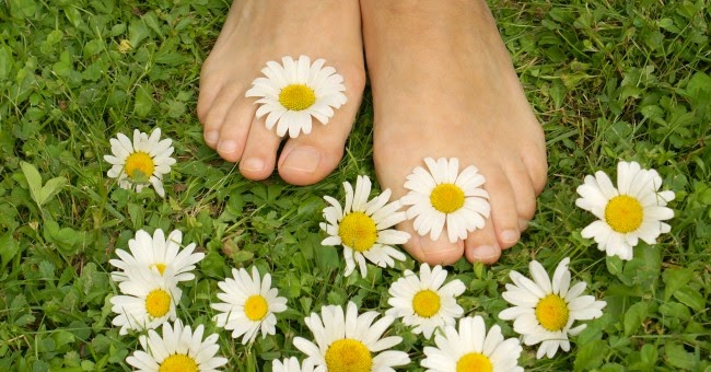 Continuem a lutar por dia melhores