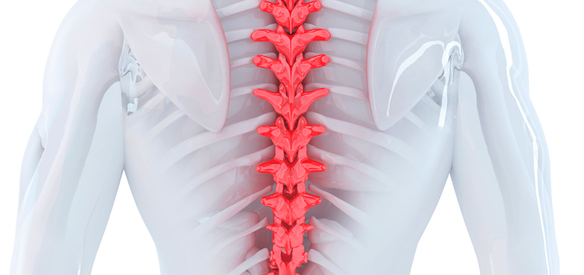 Dia Mundial da Espondilite Anquilosante chama atenção para doença reumatológica pouco conhecida