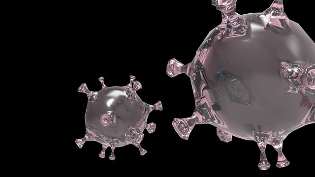 Estudo: Imunossupressão e Covid-19