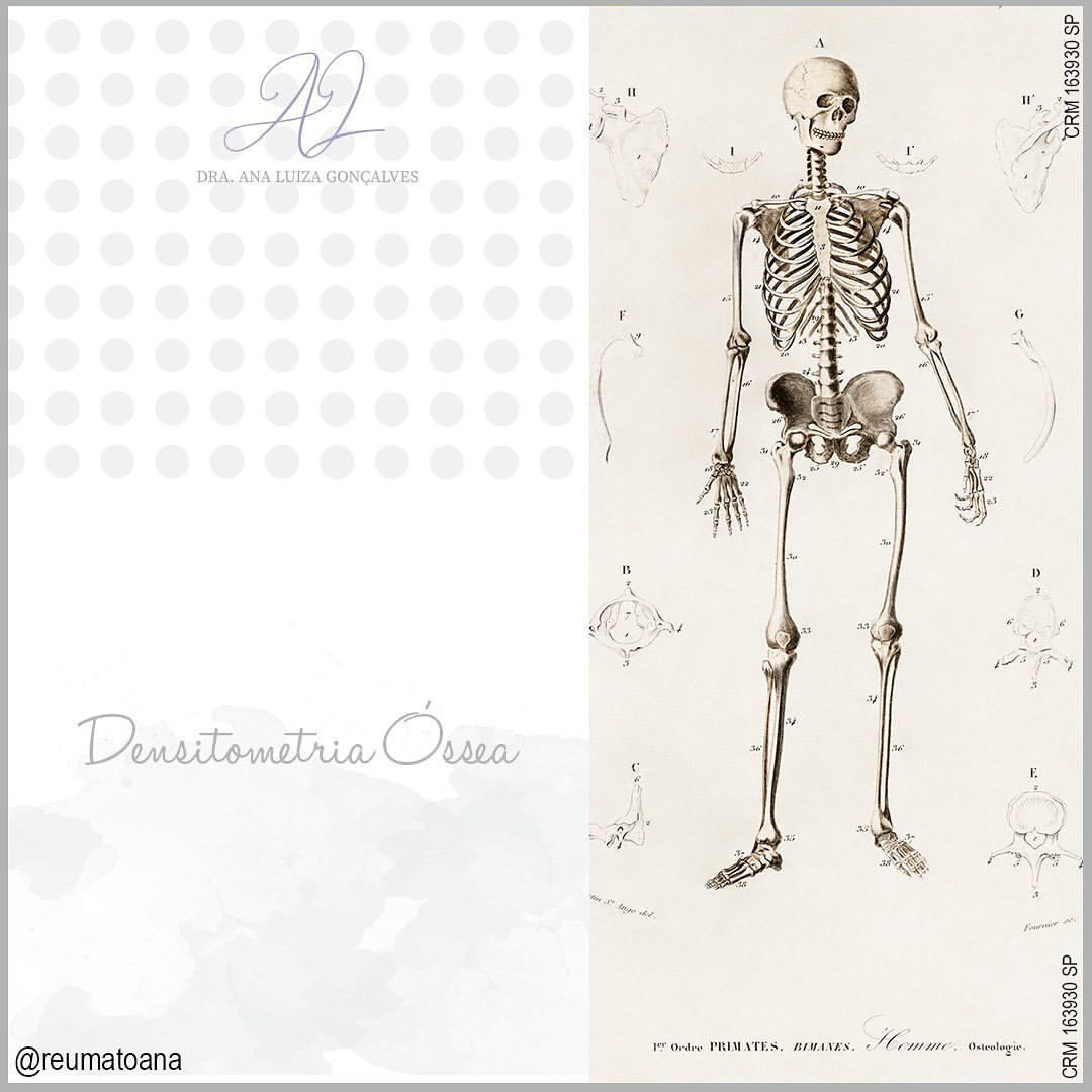 O que é a densitometria óssea?