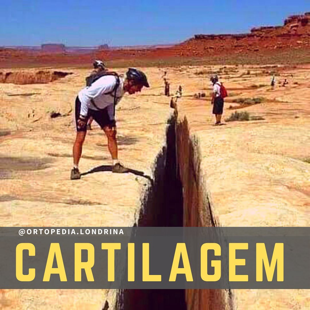 Conheça as cartilagens