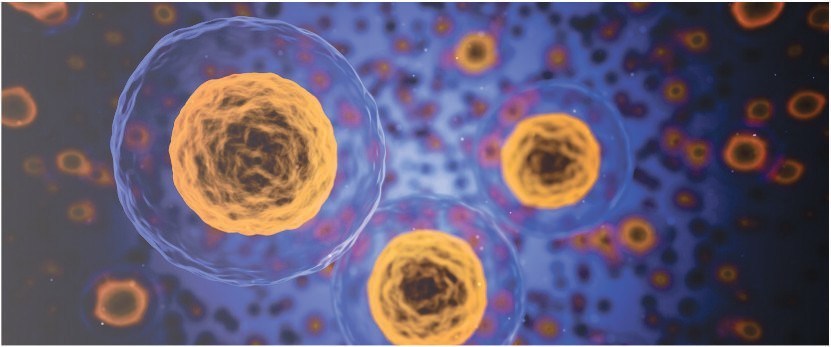 Nova célula pode alertar sobre crise de artrite reumatoide