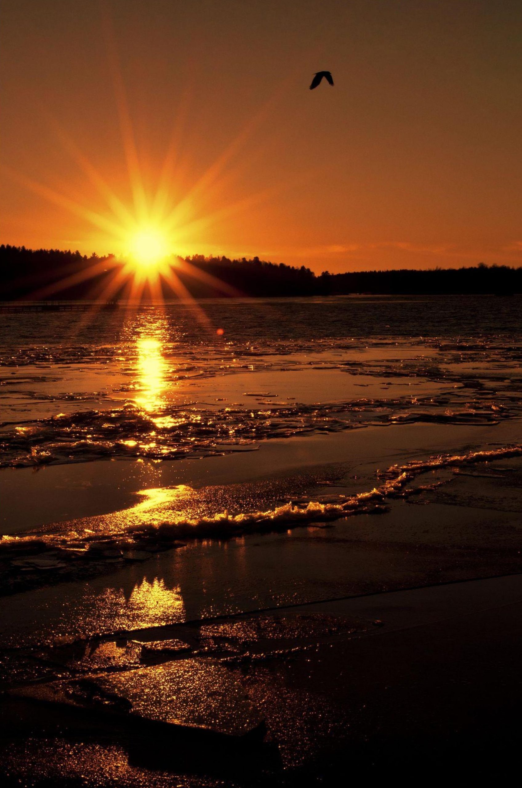 Viver intensamente cada dia !