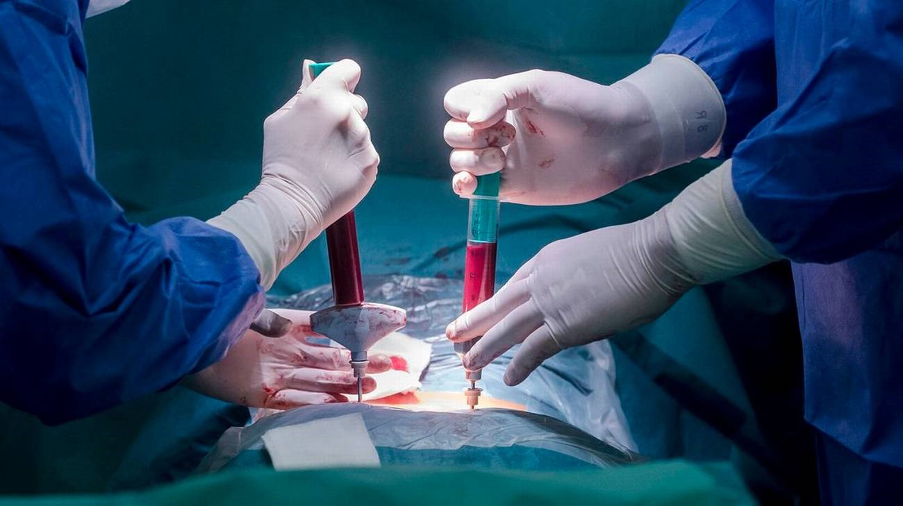 Falta de medicamento deixa transplante de medula óssea em risco no Brasil