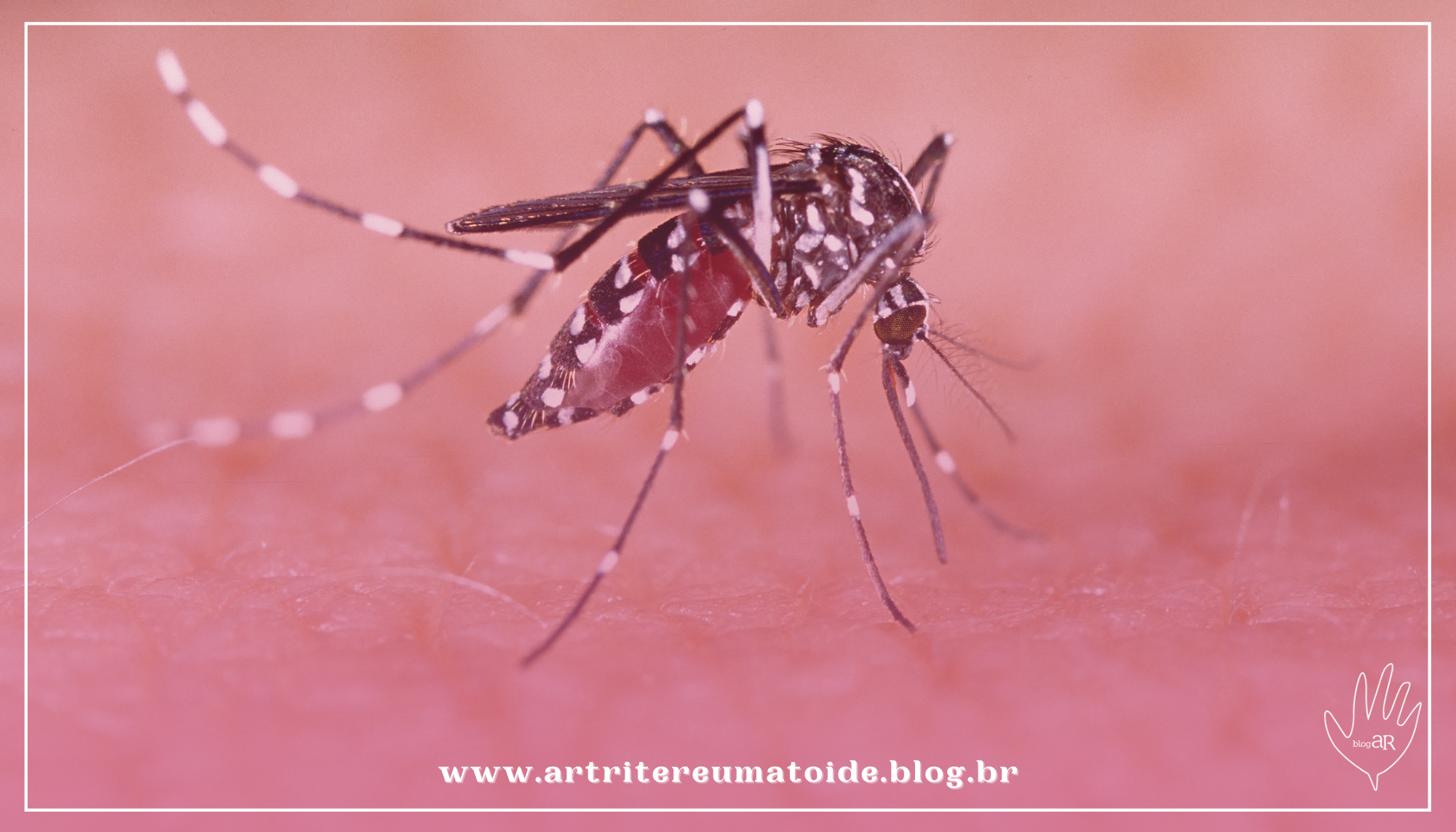 Secretaria da Saúde do PR reforça atenção para casos de chikungunya