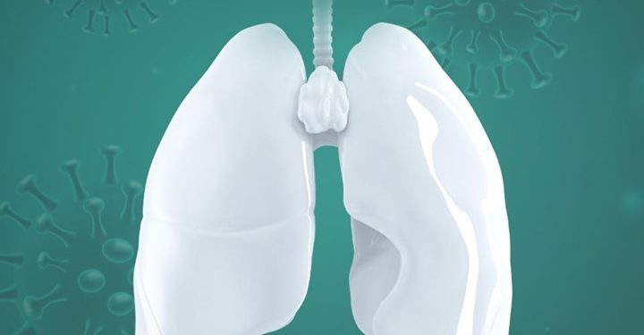 Pneumonia em pacientes imunossuprimidos