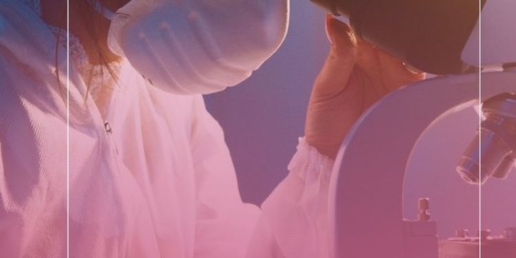 Cura da artrose a caminho? Cientistas criam cartilagem usando células-tronco