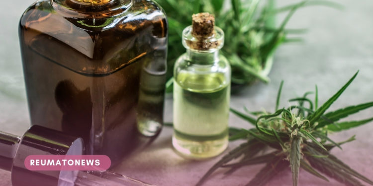 “Dor crônica só melhorou depois da cannabis”, conta aposentada com artrose