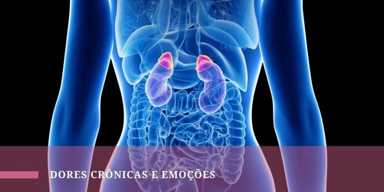 Cortisol: o que é, para que serve, como controlar