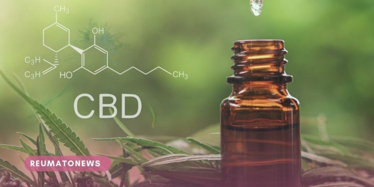 A evolução no uso do canabidiol em doenças do cérebro