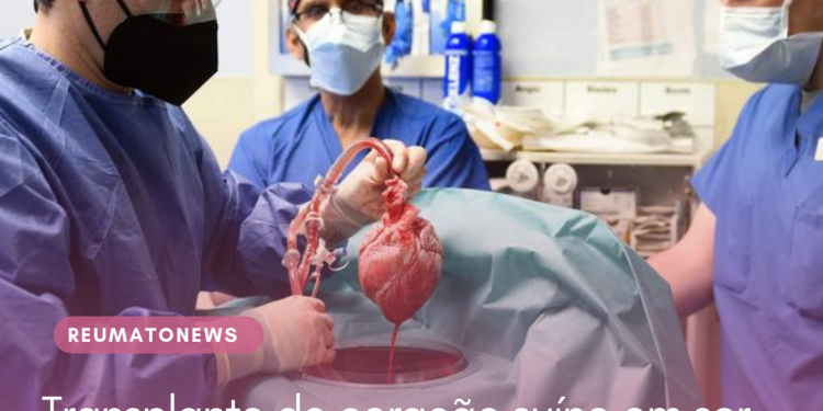 Transplante de coração suíno em ser humano pode revolucionar a medicina, segundo InCor