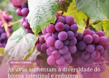 As uvas aumentam a diversidade do bioma intestinal e reduzem o colesterol