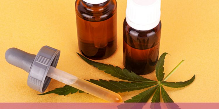 Conheça os principais mitos sobre a Cannabis medicinal