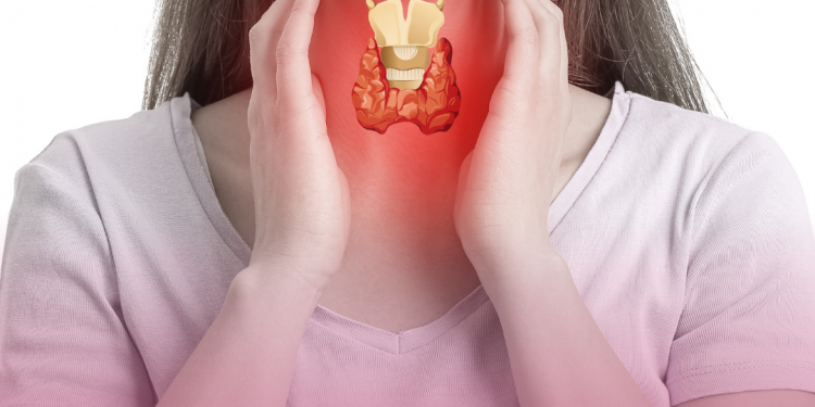 Dia Internacional da Tireoide