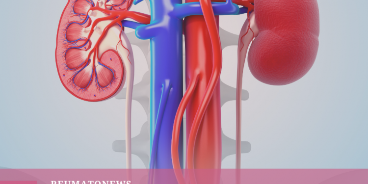 Hipertensão pode lesionar os rins