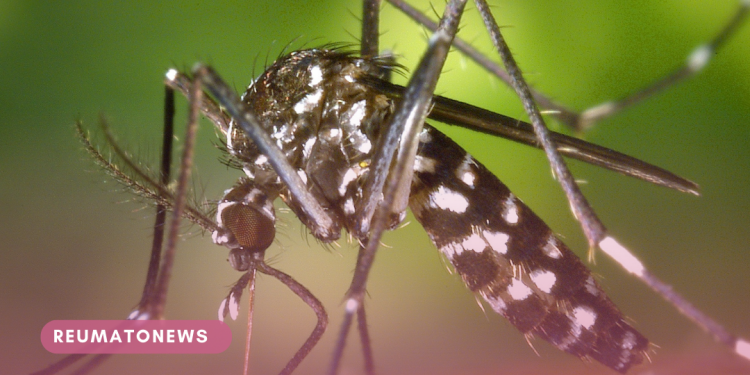 Quanto tempo duram as dores causadas pela chikungunya?