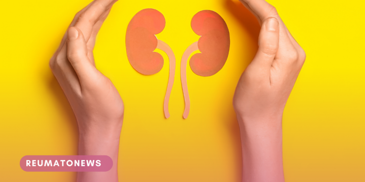 Consulta pública avalia introdução de nova opção de tratamento para Doença Renal Crônica pelo SUS