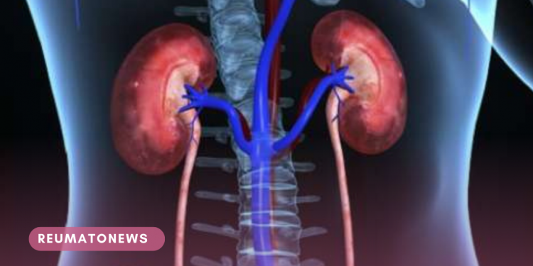 Centro Especializado em Obesidade e Diabetes recruta pacientes com nefropatia avançada para estudo científico