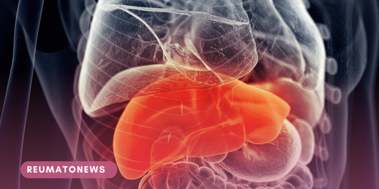 Gordura no fígado: uma doença silenciosa que atinge 25% da população mundial