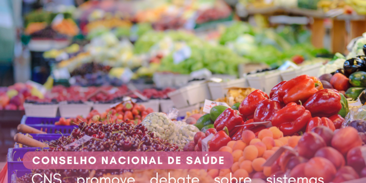 CNS promove debate sobre sistemas alimentares e implementação de Política Nacional de Saúde Bucal