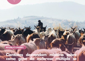 Cientistas desvendam mistério sobre como gene da esclerose múltipla se espalhou