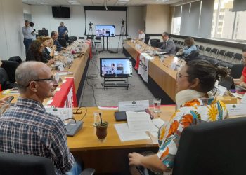Contra impunidade da pandemia, conselhos de Saúde e de Direitos Humanos atuam para preservar direito sanitário e resposta a emergências