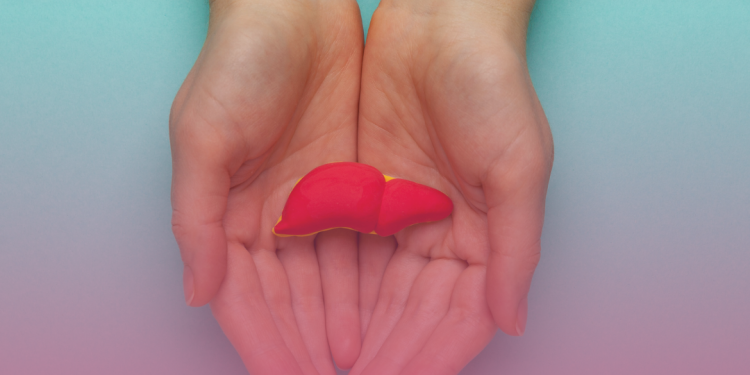 Survodutida mostra melhora significativa na fibrose hepática devido à MASH em 64.5% dos adultos com fibrose F2 e F3