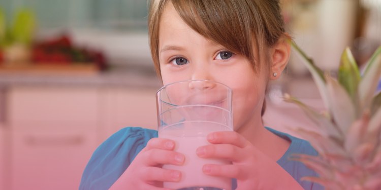 Vitaminas: uma opção saudável para refeições intermediárias