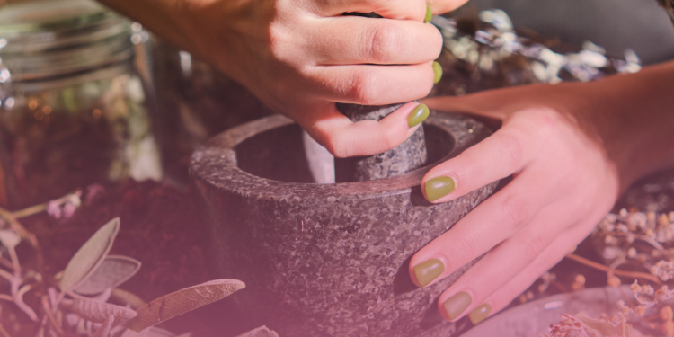 Especialista explica mitos e verdades sobre o uso de plantas medicinais e fitoterápicos