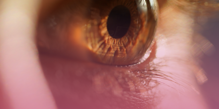 Mitos e verdades: quais alimentos fazem bem ou mal para os olhos