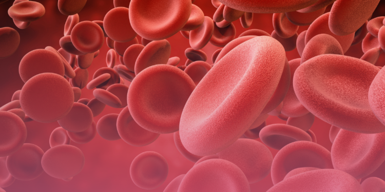 Novo tratamento para lúpus com células T CAR acaba com necessidade de remédios