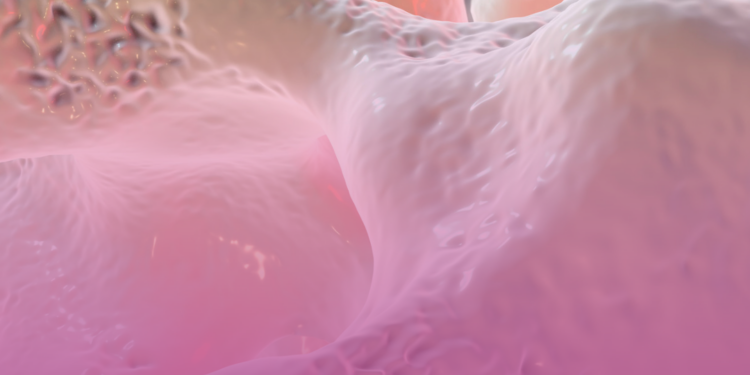 Mundo Fitness: reumatologista adverte sobre os riscos da osteoporose.