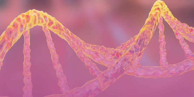 Novas descobertas sobre a genética da artrite Reumatoide.