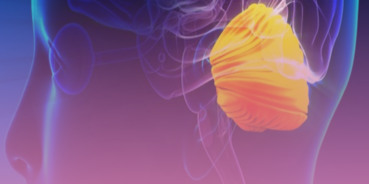 Estima-se que o Brasil tenha a segunda maior prevalência de Ataxia de Friedreich no mundo