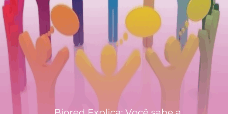 Biored Explica: Você sabe a diferença entre chamada, consulta e audiência pública? Entenda o papel de cada uma na participação social
