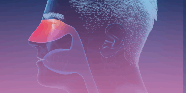 Como prevenir crises de rinite e asma na época mais fria do ano?