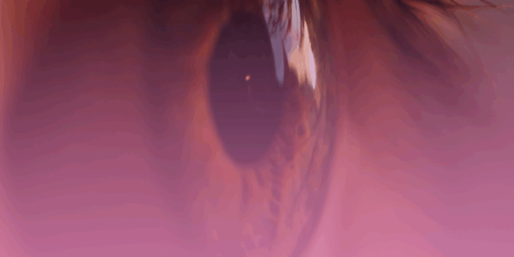 Estudo de Harvard aponta riscos de cegueira associados ao uso do Ozempic