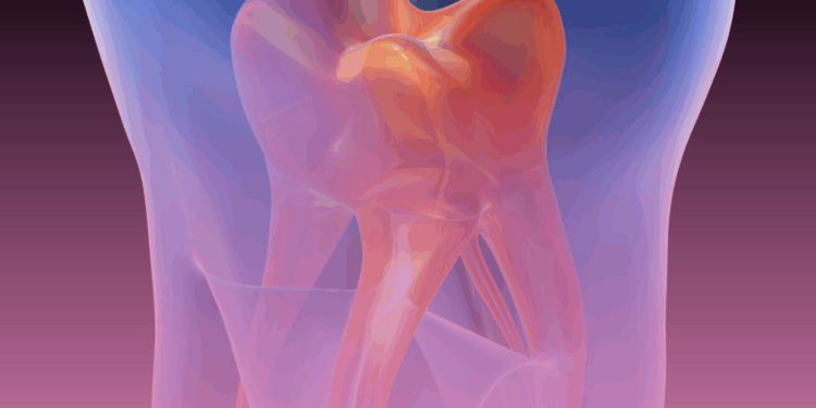 Tratar um canal do dente reduz fatores de risco de diabetes, diz estudo