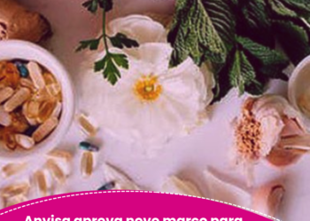 Anvisa aprova novo marco para medicamentos fitoterápicos no Brasil