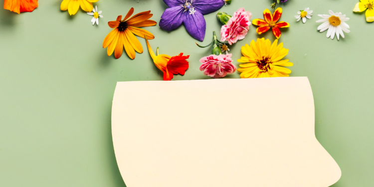 Ministério da Saúde avança em ações de saúde mental e direitos humanos em parceria com instituições nacionais