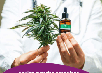 Anvisa autoriza pesquisas com Cannabis pela Embrapa