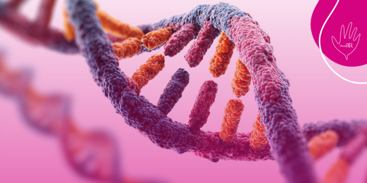 Consulta Pública nº 01/2026 – proposta de incorporação do teste imunoenzimático para diagnóstico de aspergilose invasiva em pacientes imunocomprometidos