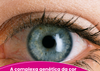 A complexa genética da cor dos olhos: você sabe quem são os responsáveis?