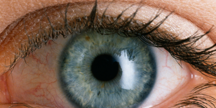 A complexa genética da cor dos olhos: você sabe quem são os responsáveis?