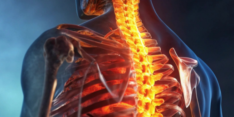 Dor musculoesquelética, sobrepeso e sedentarismo têm relação   Este trecho é parte de conteúdo que pode ser compartilhado utilizando o link https://valor.globo.com/patrocinado/dino/noticia/2025/10/10/dor-musculoesqueletica-sobrepeso-e-sedentarismo-tem-relacao-1.ghtml ou as ferramentas oferecidas na página. Textos, fotos, artes e vídeos do Valor estão protegidos pela legislação brasileira sobre direito autoral. Não reproduza o conteúdo do jornal em qualquer meio de comunicação, eletrônico ou impresso, sem autorização do Valor (falecom@valor.com.br). Essas regras têm como objetivo proteger o investimento que o Valor faz na qualidade de seu jornalismo.